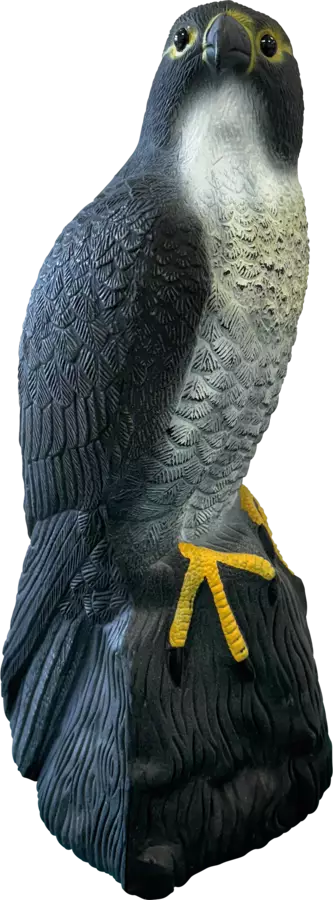 Haukka koriste - Lammen koristeet - A06091060 - 1