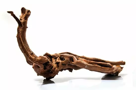 Jokipuu - Juurakot ja puut akvaarioon - H080 - 1