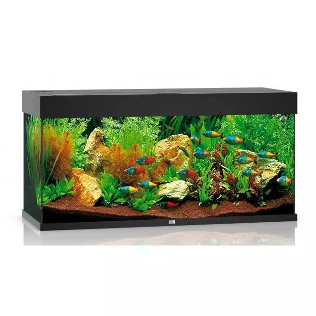 Juwel Rio 180 Led Musta - 101-200 litraiset akvaariopaketit  - 107.1180 - 1