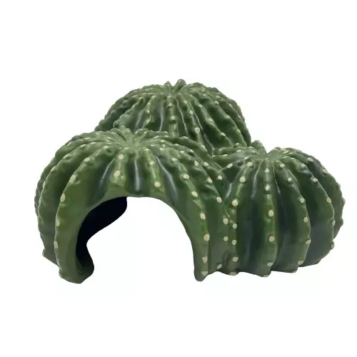 Kaktus mökki 5 - Terraarion muut piilot - D36240 - 1