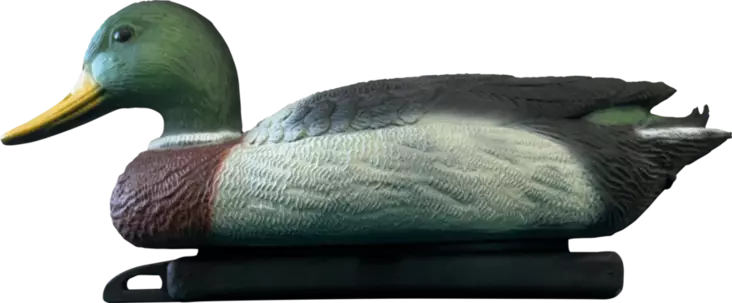 Kelluva uros sorsa koriste - Lammen koristeet - A06091040 - 1