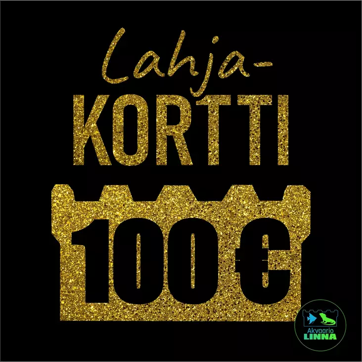 Lahjakortti 100€ - Lahjakortit - 99999984-100 - 1
