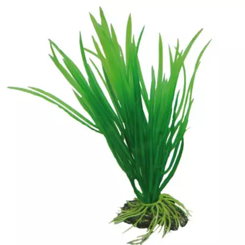 Muovikasvi Cyperus 16Cm - Muovikasvit akvaarioon - D41500 - 1