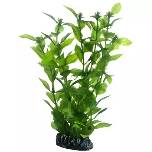 Muovikasvi Hygrophila 20Cm - Muovikasvit akvaarioon - D51560 - 1