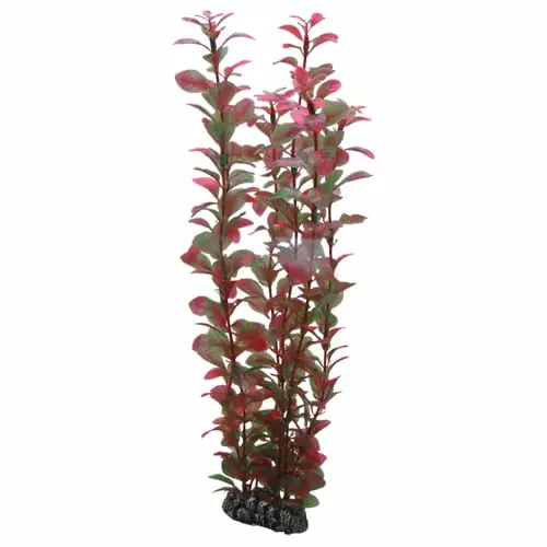 Muovikasvi Ludwigia 34Cm - Muovikasvit akvaarioon - D41520 - 1