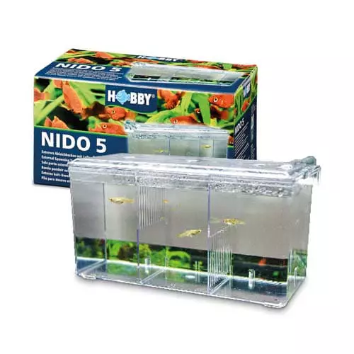 Nido 5 Eristys Tankki / Poikimis Allas - Poikimis-altaat, loukut ja ansat. - D61390 - 1