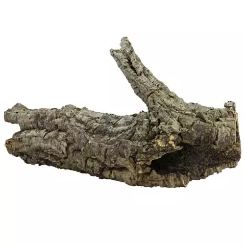 Pyöreä Korkki 60-80Cm 10-15Ø - Korkit terraarioon - D35010 - 1