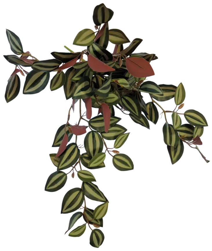 Repto Plant Hanging Red Back 46 Cm - Roikkuvat muovikasvit - AR5100400 - 1