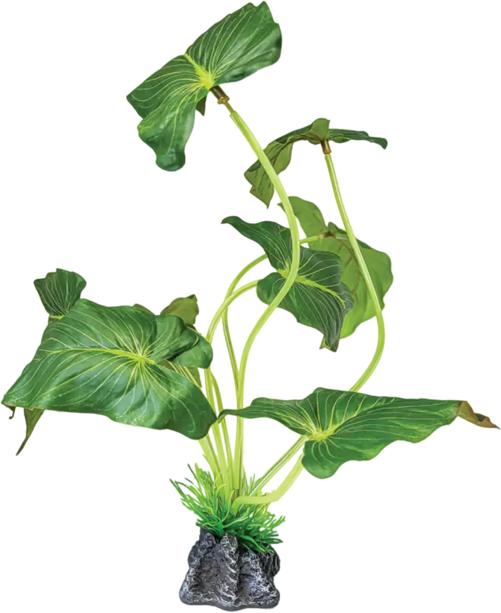 Repto Plant Taarot muovikasvi - Muovikasvit jalalla - AR5100470 - 1