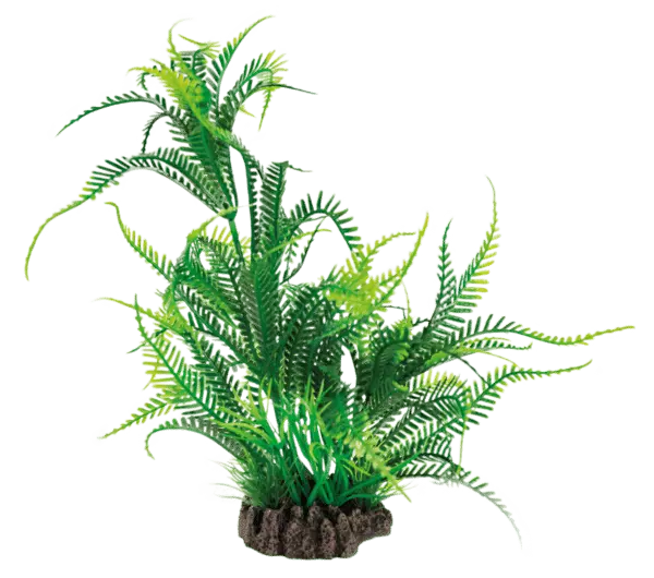 Sf Art Plants 25Cm Microsorum - Muovikasvit akvaarioon - A4070830 - 1