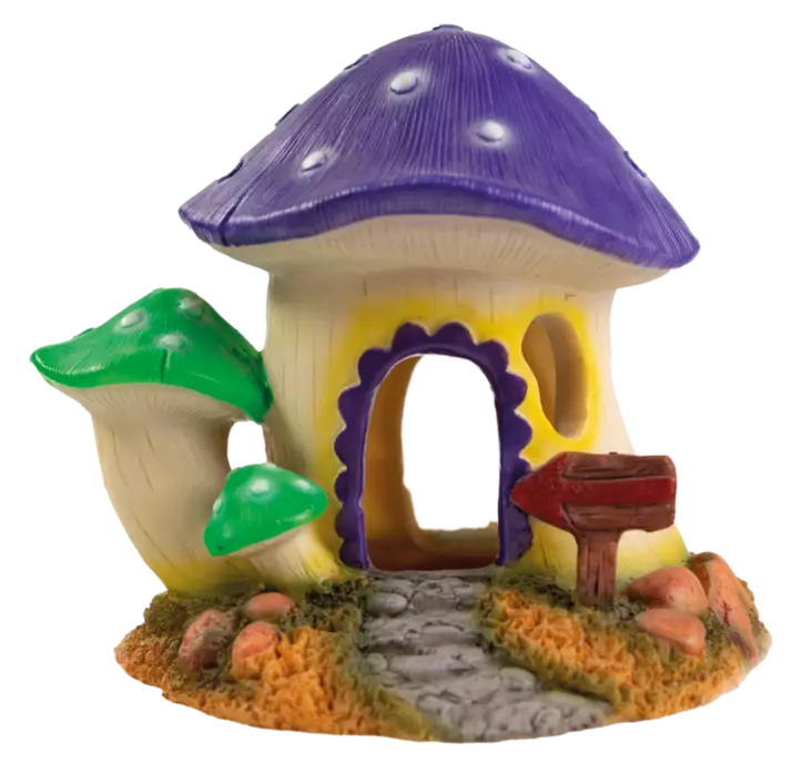 Sf Sienitalo M - Luolat ja kutuluolat akvaarioon - A4021510 - 1