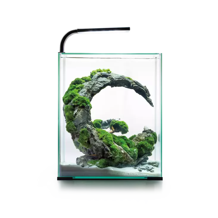 Shrimp Set D&N 30 Musta 30L - 5-45 litraiset akvaariopaketit - AE122980 - 1