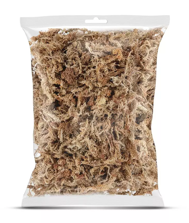 Sphagnum Sammal 25G - Puristeet ja sammalet terraarioon - HAPPM00 - 1