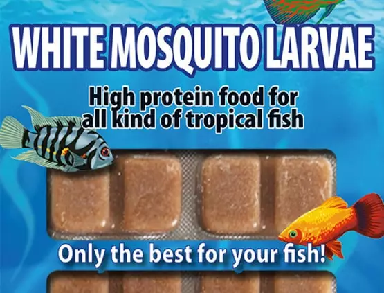 Sulkasääskentoukka Palapakkaus 100G - Pakasteruoat kaloille - R16000 - 1