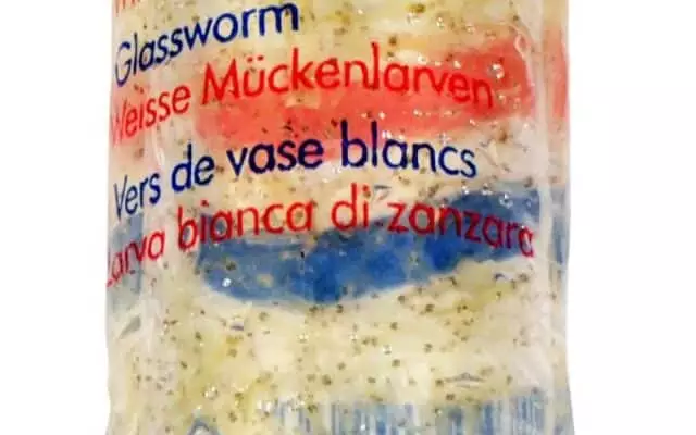 Sulkasääsken toukka Elävä 100Ml - Elävät ruoat kaloille - 82990 - 1