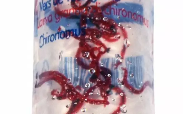 Surviainen Elävä L 100Ml - Kalojen ruokinta - 82950 - 1