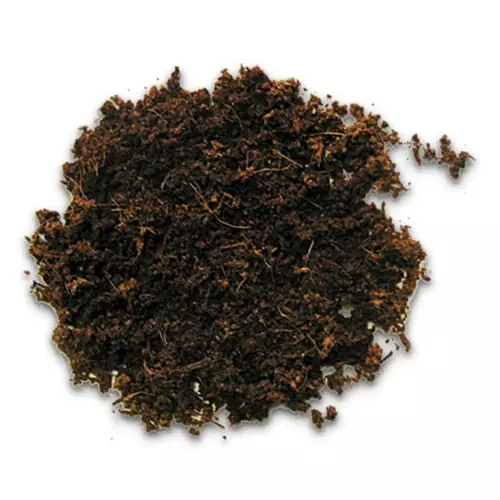 Terrano Forest Humus 4L - Humukset ja seokset terraarioon - D33050 - 1