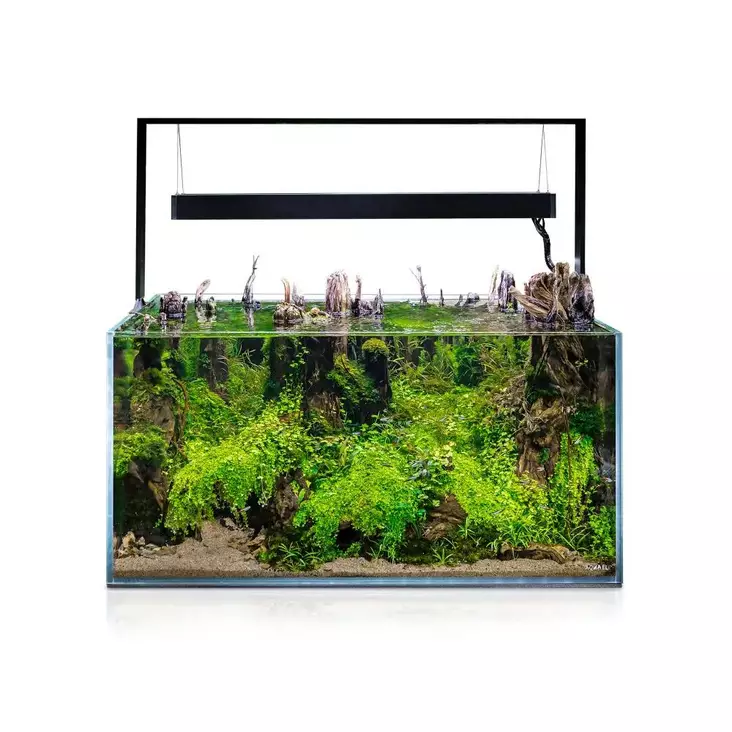 Ultrascape 90 Metsä 243L - 201-300 litraiset akvaariopaketit  - AE123430 - 1