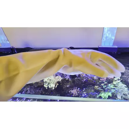 Aqua Gloves one size - Akvaarion sienet ja muut välineet - Q66301 - 1