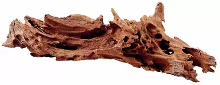 Mangrove, S 15-25Cm - Juurakot ja puut akvaarioon - D40641 - 2