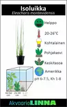 Isoluikka Ruukku - Akvaarion keskialan kasvit - 81521 - 6