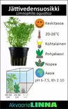 Jättivedensuosikki Ruukku - Akvaarion taka-alan kasvit - 81771 - 2