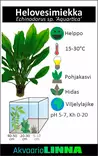 Miekka Aquartica Ruukku - Akvaarion keskialan kasvit - 81151 - 3