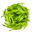 Sirosuokki &Quot;Quadricostatus&Quot; Ruukku - Akvaarion etualan kasvit - 81511 - 2