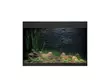 Styleline 175 Akvaario Musta - 101-200 litraiset akvaariopaketit - O78221 - 2
