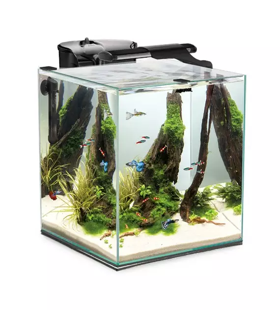 Fish&Shrimp Set Duo D&N 35 Musta 49L - 46-100 litraiset akvaariopaketit  - AE124341 - 1