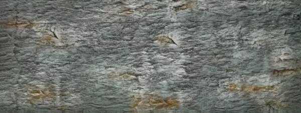 Flex tausta harmaa kivi S - Akvaarion 3D-taustat - O70761 - 1