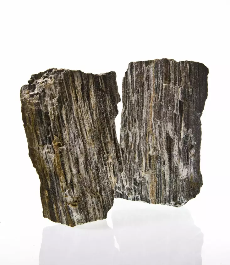 Fossiloitunut Puu Harmaa - Kivet akvaarioon - S041 - 1