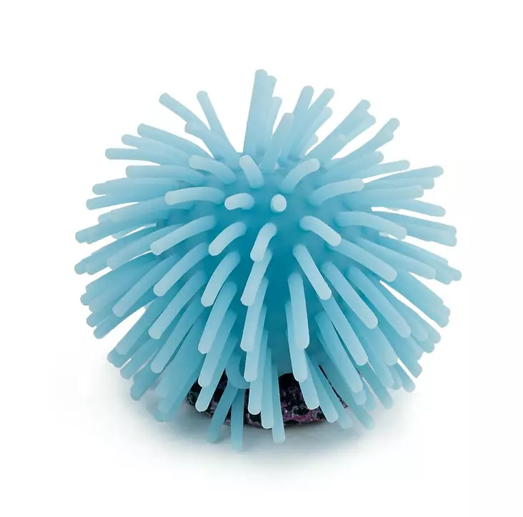 Koralli sininen 5cm - Muut koristeet - HAPR121 - 1