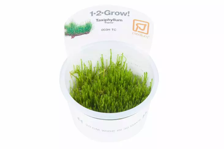 Tropica premium nutrition 5L - Nestemäiset ravinteet kasveille - T61501 - 1