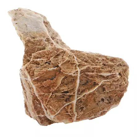 Canyon Kivi S - Kivet akvaarioon - D40462 - 1