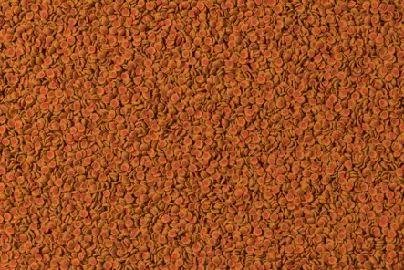 Tetra Cory Shrimp wafers 250ml - Pohjatabletit kaloille - T25742 - 2