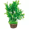 Muovikasvi Rusolehti 13Cm - Muovikasvit akvaarioon - D51532 - 1