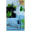 Versa Garden Aloitus sarja valolla - Akvaarion etualan kasvit - AE115402 - 3