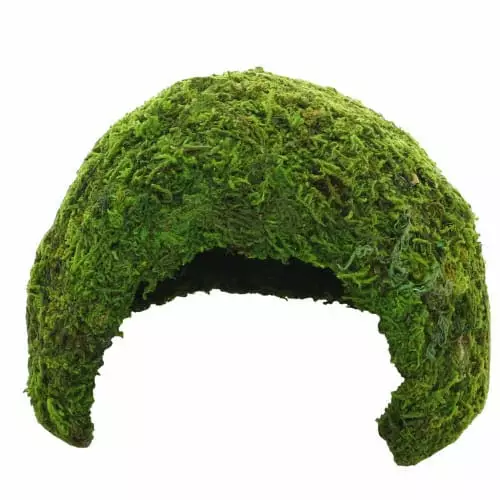 Jungle Cave M - Terraarion luolat sammalella - D34602 - 1