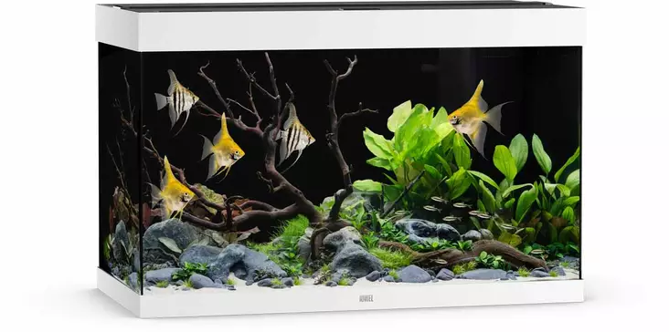 Juwel Rio 290 Led Valkoinen - 101-200 litraiset akvaariopaketit  - 107.1292 - 1