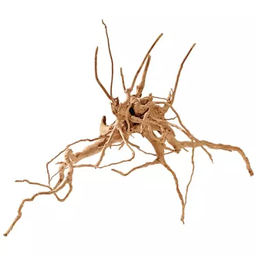 Moorapuu Punainen L 40-60Cm - Juurakot ja puut akvaarioon - D40482 - 1