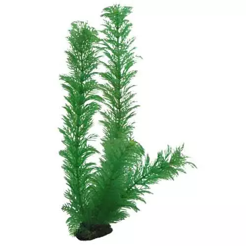 Muovikasvi Egeria 34Cm - Muovikasvit akvaarioon - D41512 - 1