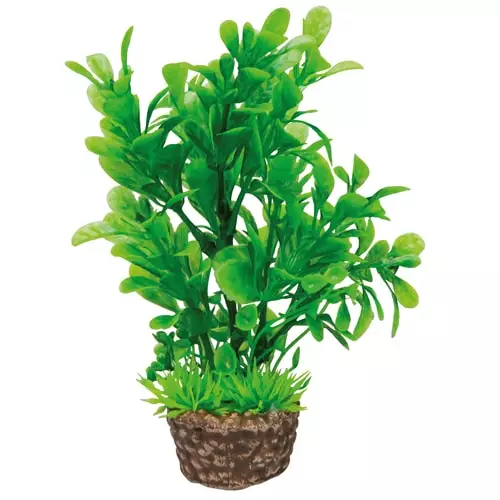 Muovikasvi Rusolehti 13Cm - Muovikasvit akvaarioon - D51532 - 1