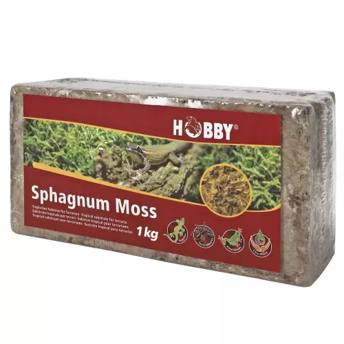 Sphagnum Sammal Puriste 1kg - Puristeet ja sammalet terraarioon - D34172 - 1