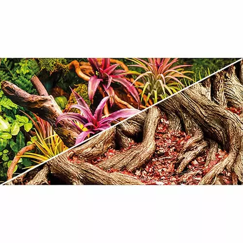 Taustakuvarulla Colorful Jungle / Strangler Fig 30Cm X 25M - Terraarion taustakuvat ja liimat - D31242 - 1