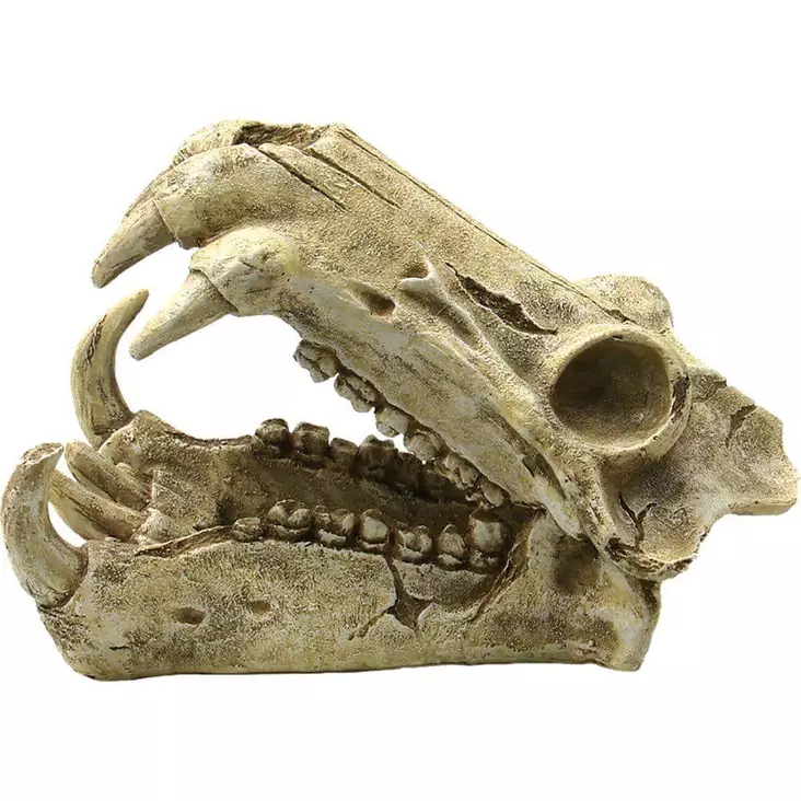 Virtahevon Kallo 20 X 11 X 13Cm - Akvaarion muoviset ja keraamiset koriste - 137.3282 - 1