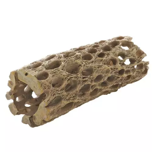 Vulka stick M Kaktuspuuluola 16 x 5,5 x 5,5 Cm - Juurakkojäljitelmät akvaarioon - D41752 - 1