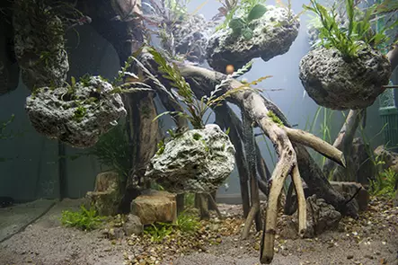 Kelluvakivi M 18-24Cm - Kivet akvaarioon - PS153 - 1