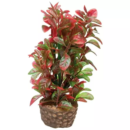 Muovikasvi Punainen Rusolehti 13Cm - Muovikasvit akvaarioon - D51533 - 1