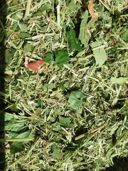 Unituvan Maakonnan Ruoka 2L - Terraarioeläinten kuivaruoat - UNI123 - 1